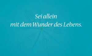 Advent_13