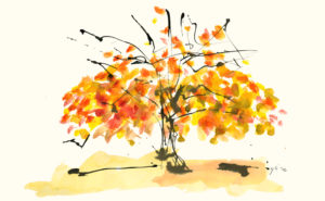 November